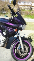 New paint (2)