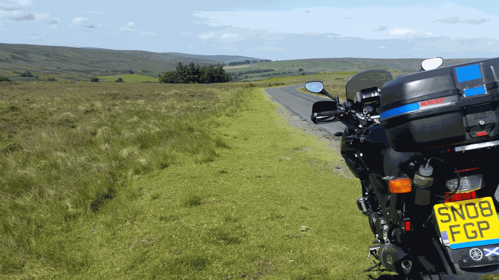 gallery_33780_371_738355.gif
